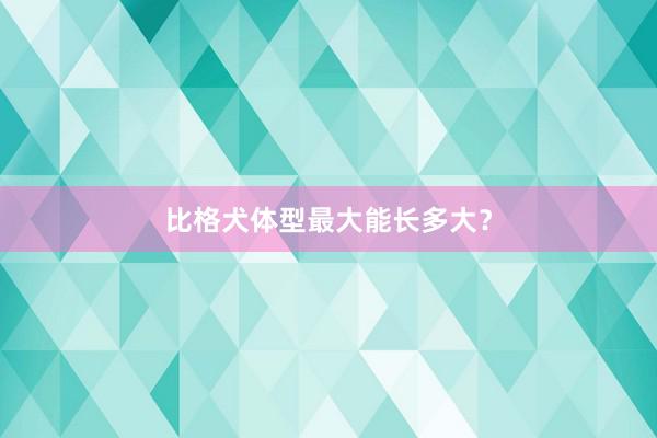 比格犬体型最大能长多大？